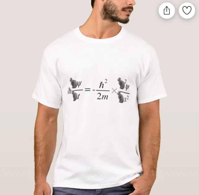 🧠 Schrödinger’s Cat Meets Quantum Physics — On Your Chest